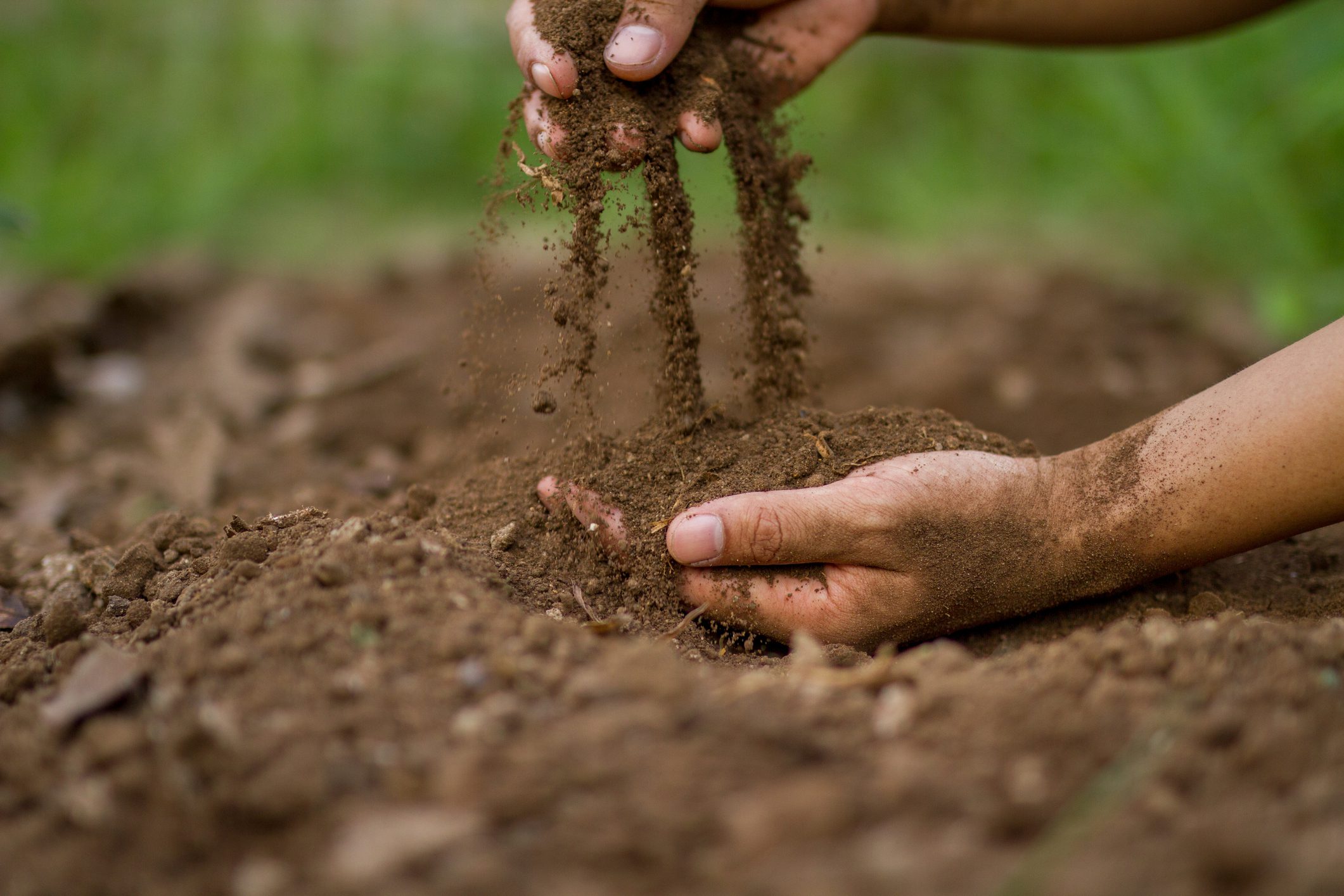 Soil Sampling | Central Plains Agronomy